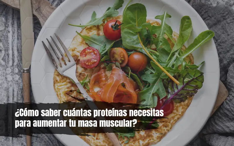 ¿Cómo saber cuántas proteínas necesitas para aumentar tu masa muscular?